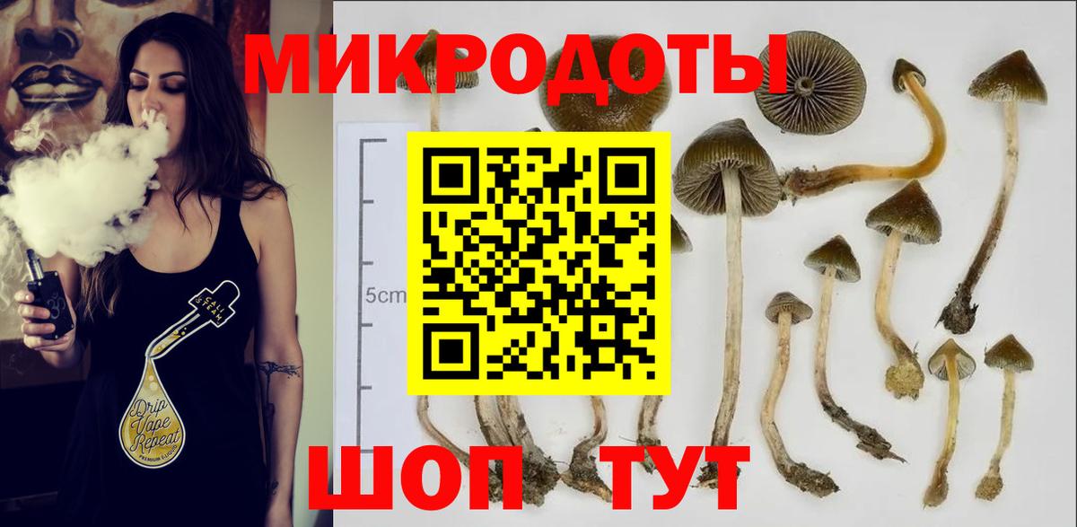 Галлюциногенные грибы Magic Shrooms  Вход с VPN  Шадринск 