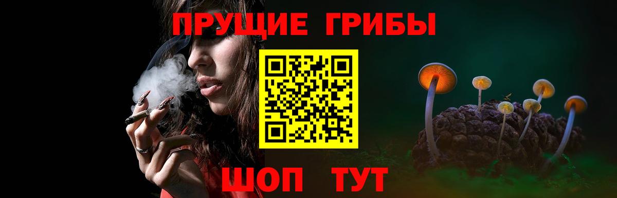 Галлюциногенные грибы GOLDEN TEACHER Шадринск
