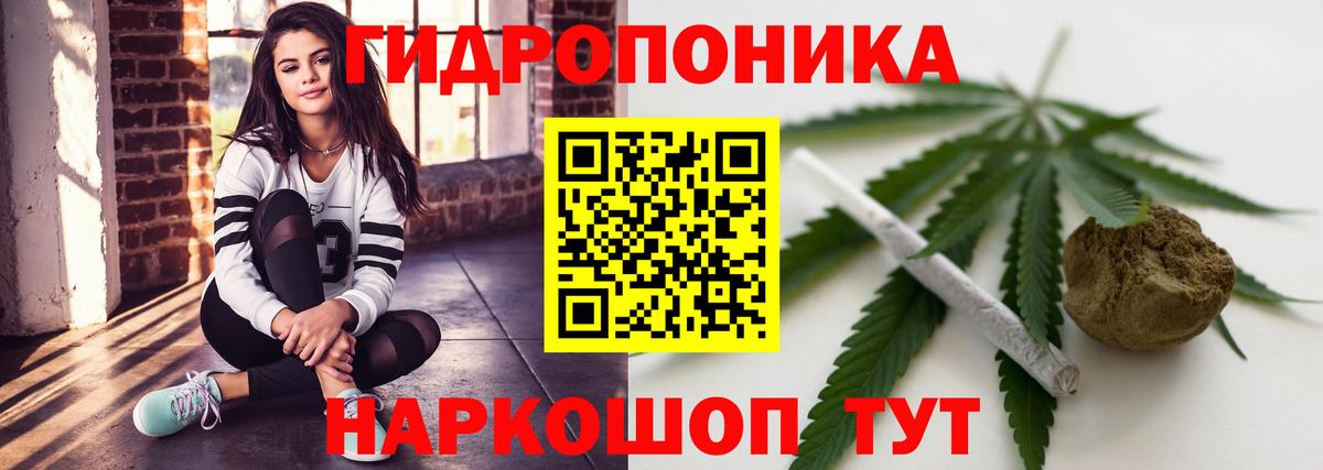 МАРИХУАНА план  Марихуана планчик  Шишки марихуана SATIVA & INDICA  Вход с VPN  Шадринск  Конопля Bruce Banner 